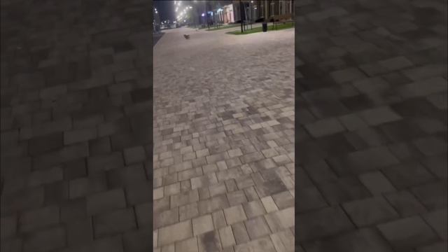 Это было в сторис , но тоже очень популярная история. Пусть будет тут. Тема не новая. Но ооочень акт