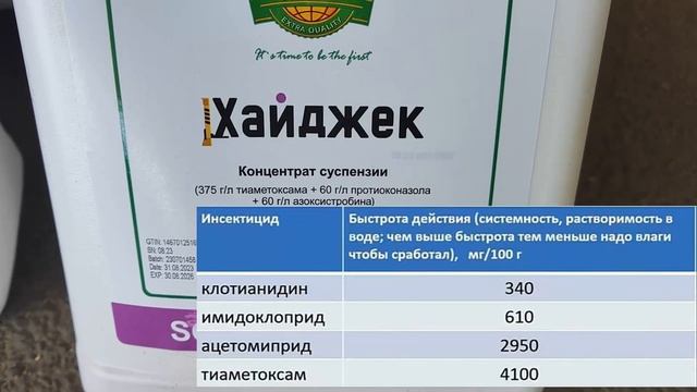 Протравливаем семена | Готовимся к посеву | 6 октября 2024