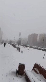 Аномальные холода, ливни и мокрый снег обрушатся на Москву с понедельника — синоптики