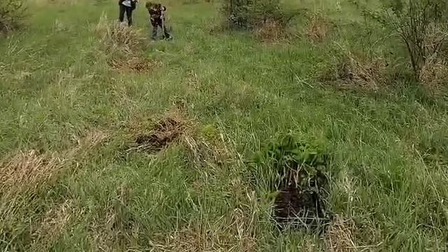 Аллея Победы 3