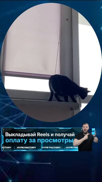 Hype Factory ссылка в шапке профиля #vrek #hymor #memes #top #vrecomendacii #HypeFactory #мемы #top