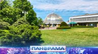 🌱 Расцвет Донецкого ботанического сада: технологии будущего для флоры региона