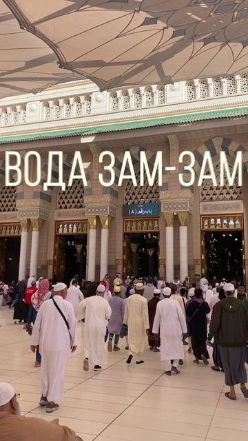 ОБЕЗЬЯНЫ НЕ ДЕЛАЮТ УМРУ И ХАДЖ. А ТЫ!