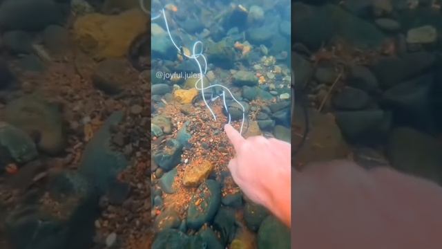 Находки под водой