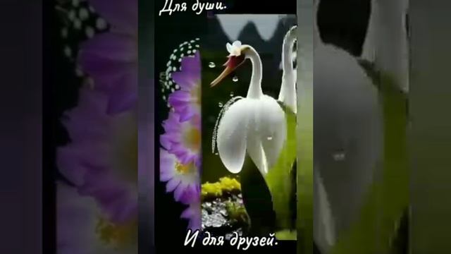 IMG_20250510_010231_534.mp4