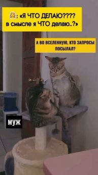 это же тоже вклад, правильно? ОГРОМНЫЙ ВКЛАД #рекоменд?