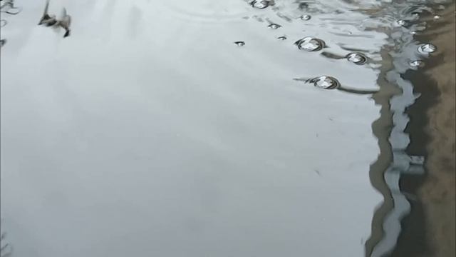 Вода.