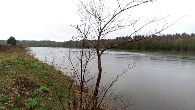 пос.Санкино 10.05.25 г р.Тура , дождь