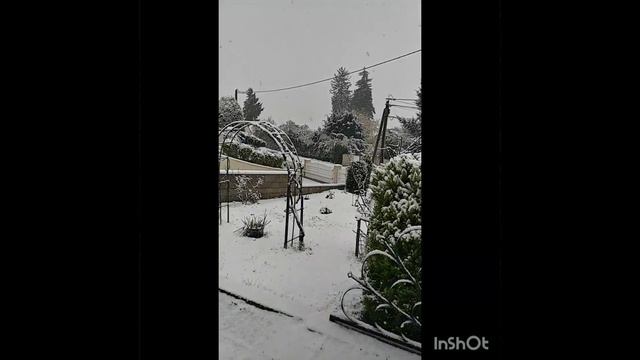 Заснеженный сад во Франции.