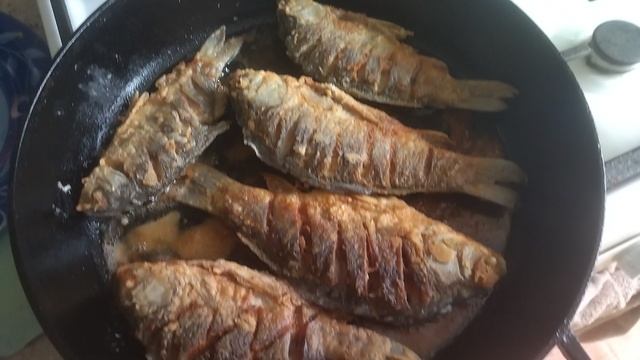 караси шкварчат))