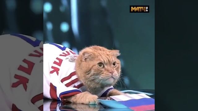 Регестрируйся по ссылке в комментариях и получи 5000₽ н