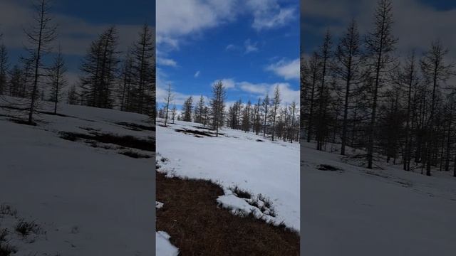 Поездка в природный парк Ингилор.