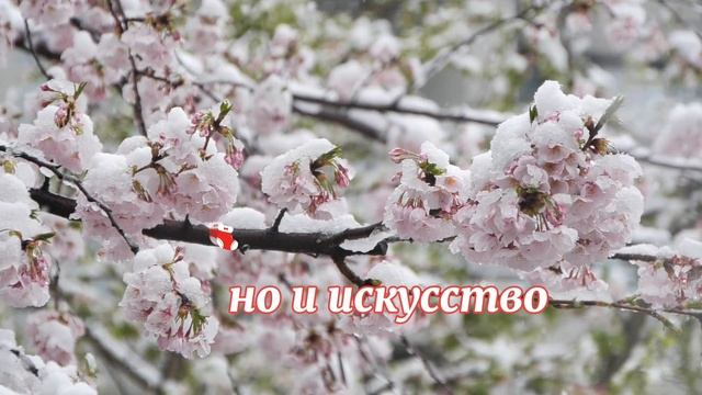 Цитаты о любви