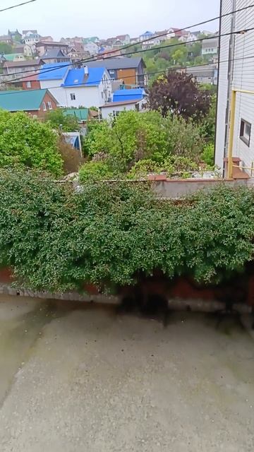 Отдых на волнах спокойствия и уюта...