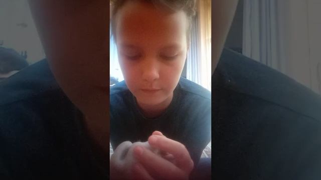 YouCut_20250510_184031989.mp4