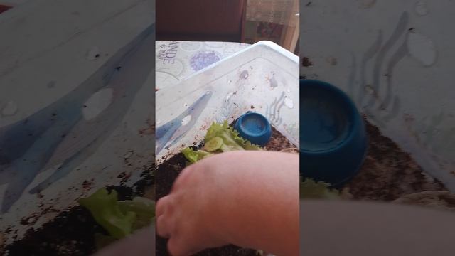 1000000581.mp4