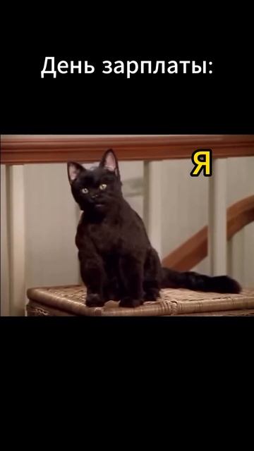 Я в #день #зарплаты #банкирос #юмор #прикол #деньги #фина