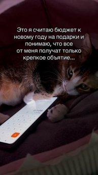 Обнимашки творят чудеса,но бюджет не растет #cat #работа