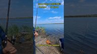 ЛОВИМ РЫБУ НА ПЕНОПЛАСТ, РЫБАЛКА 🐟 НА КУБАНИ