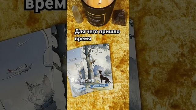 ДЛЯ ЧЕГО ПРИШЛО ВРЕМЯ