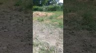 1000003091.mp4
