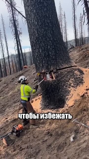Клип @mem_archive