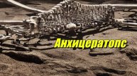 Анхицератопс