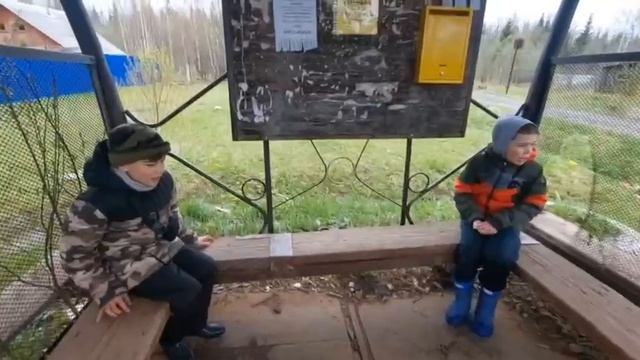 рыголодон vs русы