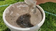 ПОСЛЕ этой ПОДКОРМКИ ОГУРЧИКИ растут как на дрожжах, зеленцы все вызревают