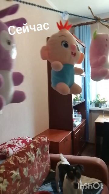 моя коллекция 😁. многовато))