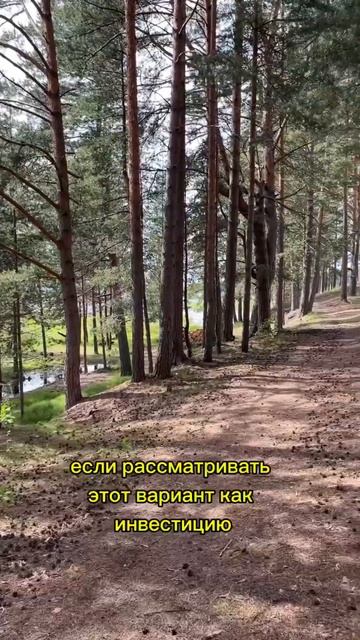 Добро пожаловать в мир уюта и комфорта у озера в Ленин?