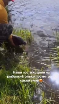 Угадайте - сколько килограмм трофей?