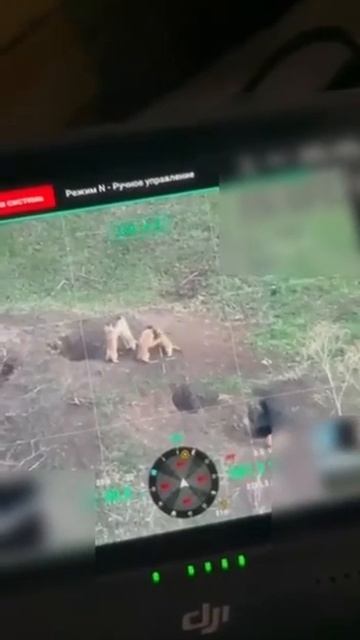 Оператор дрона снял на фронте эпичную зарубу... четырех сурков