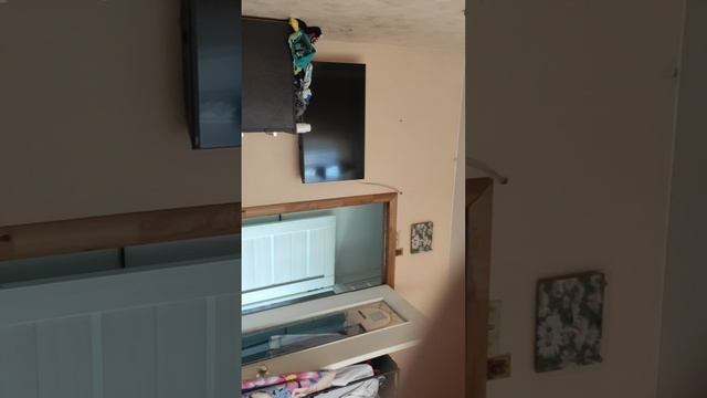 Мертвые рельсы/ фиаско/ замок