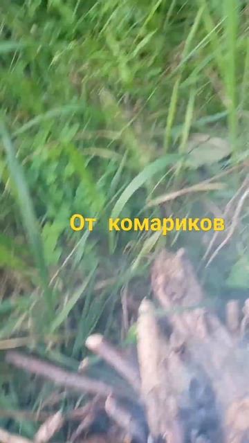 от комаров поможет, если есть противогаз 🤪