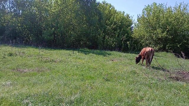 И снова разговоры о насущном