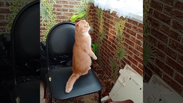 1000000741.mp4