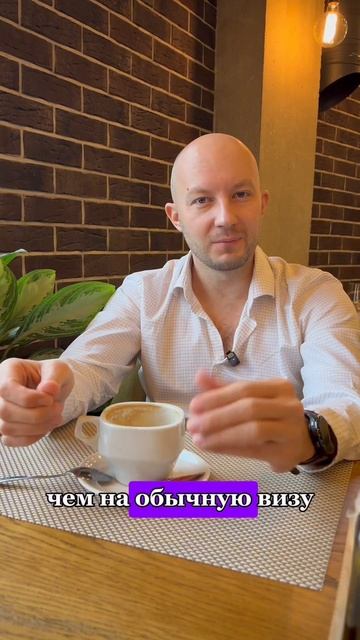 ✅ Виза талантов и гринкарта: в чем разница? #виза #внж #?