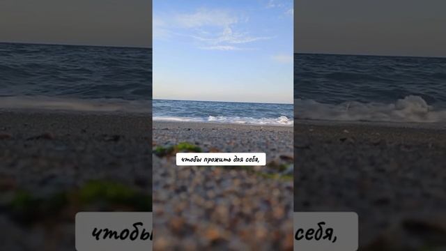 1000035795.mp4