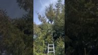 Ландшафт питомника алабаев: красота, созданная природой и человеком