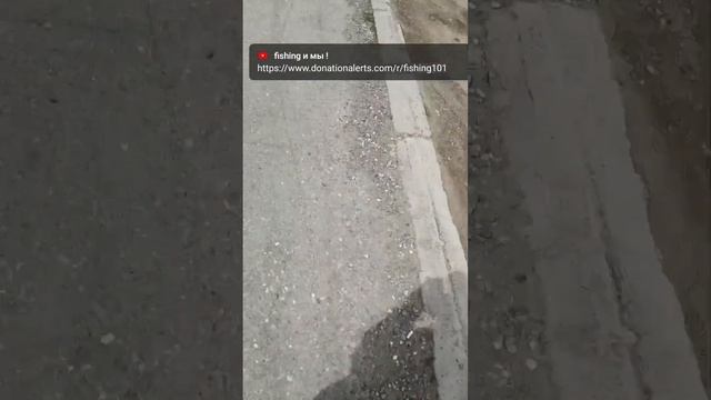 Прямая трансляция fishing и мы !