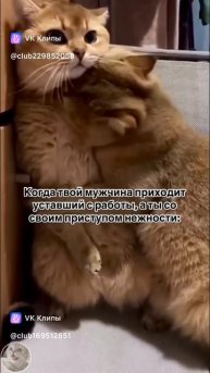 Любовь