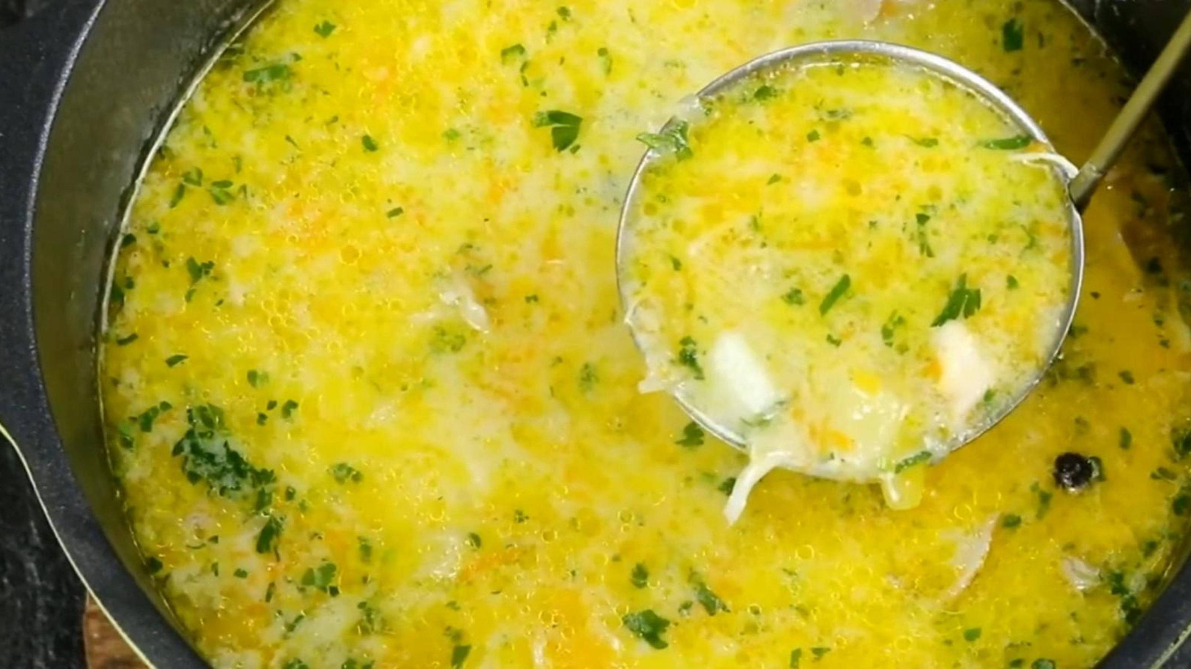Болгарский Суп из курицы, на основе белого йогурта.