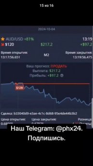 Бесплатные торговые сигналы для начинающих трейдеров