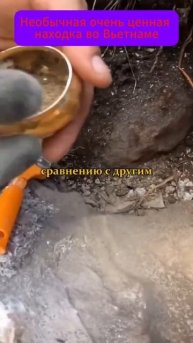 Необычная очень ценная находка во Вьетнаме