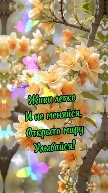 Доброе утро!