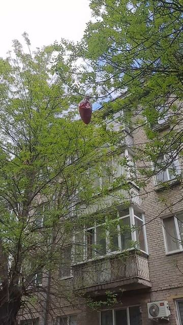 Сколько ещё провисит, как думаете?