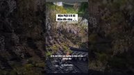 Мир домашних питомцев – Серия 457: Забавные и милые моменты