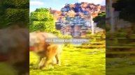 снимать ещё видео про фильм майнкрафт?#facts #foryou #minecraft #xy