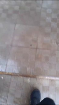 Идиальный день начала акции) #скрепыши3 #андрофез